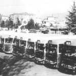 bus anni 50